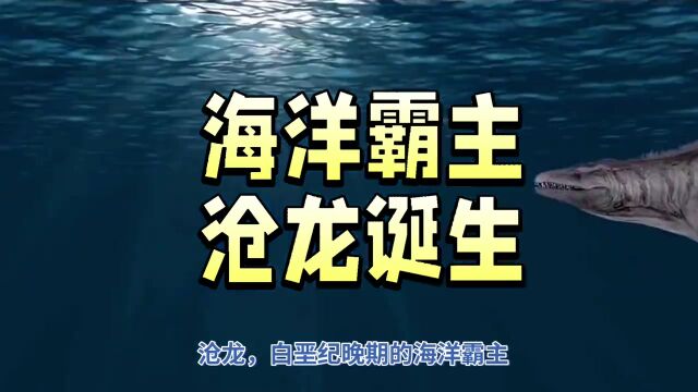 海洋霸主沧龙的诞生