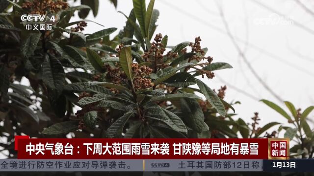 中央气象台:下周大范围雨雪来袭 甘陕豫等局地有暴雪