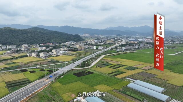 《信用中国》温州悦农供应链有限公司李小梨专访:农力行 农聚力 农链通