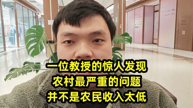 一位教授的惊人发现:农村最严重的问题,并不是农民收入太低