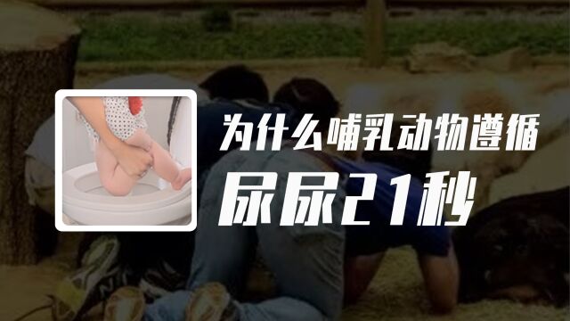 为什么哺乳动物的尿尿时间几乎都在21秒左右?