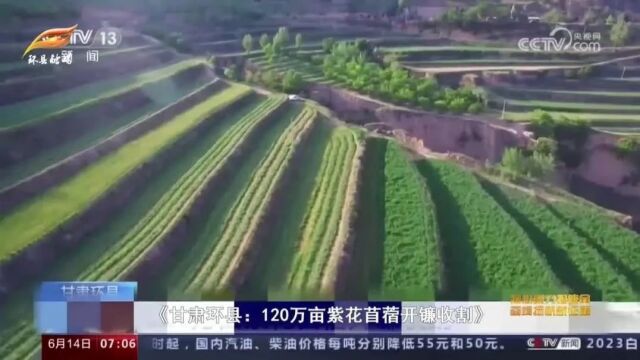 【关注】凝心聚力担使命 奋楫扬帆新征程——2023年环县宣传思想文化工作综述