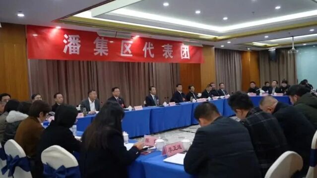 张志强参加市十七届人大四次会议潘集区、八公山区和谢家集区代表团审议