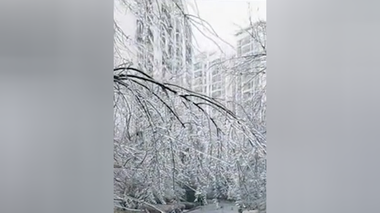 武汉现罕见灾害性天气冻雨,整个城市都镀上了一层冰壳