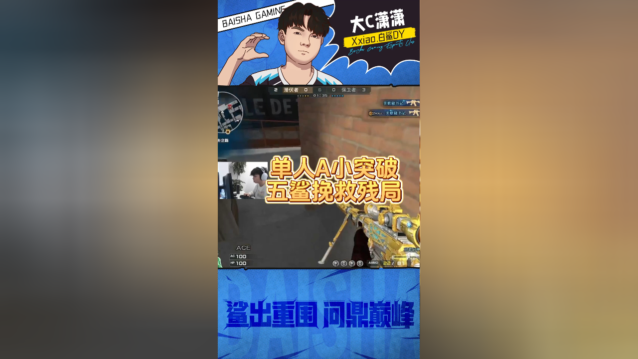 白鲨潇潇