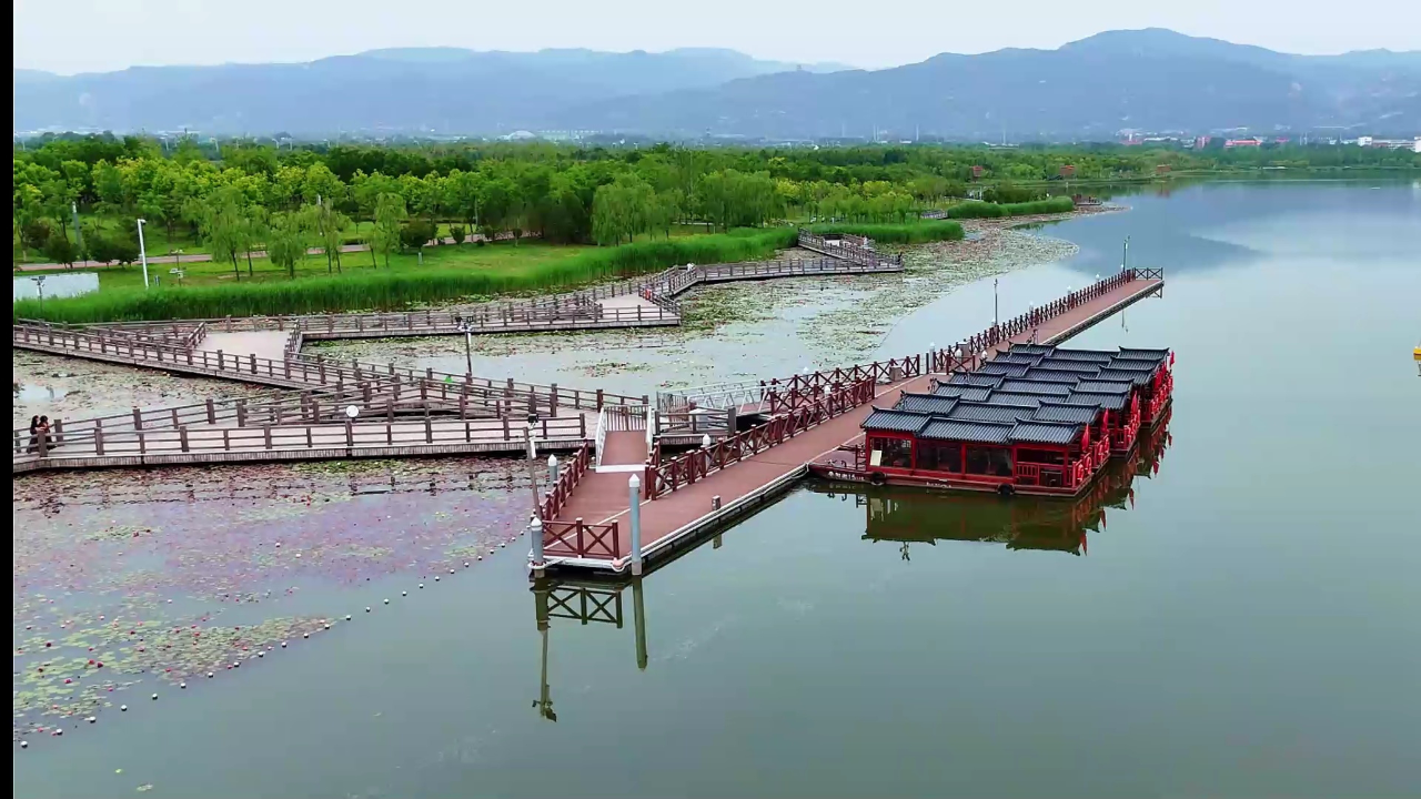 太原晋阳湖"莫奈花园"惊艳绽放
