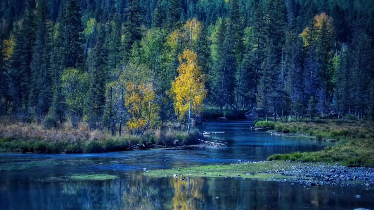 喀纳斯卧龙湾,月亮湾风光.