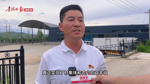 【党旗辉映新征程 实干笃行在一线】海东市塘巴村:建立"一统领四带动"