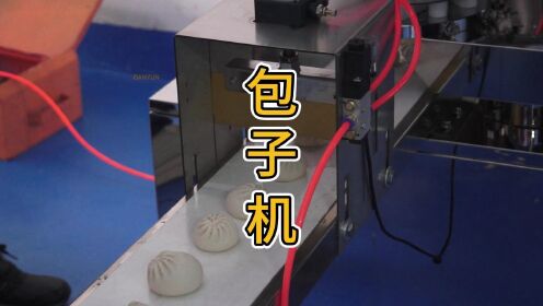 包子馒头一体机,出料顺畅不粘连,12褶花纹仿手工捏皮效果好#包子馒头