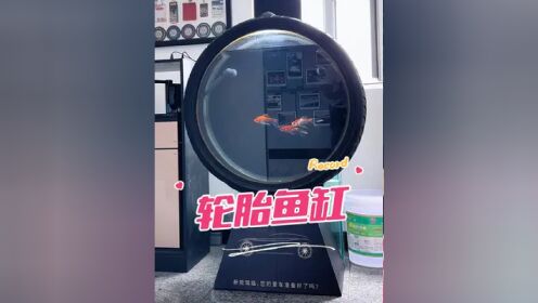 28寸轮胎鱼缸,简约之美,发现生活的美好.