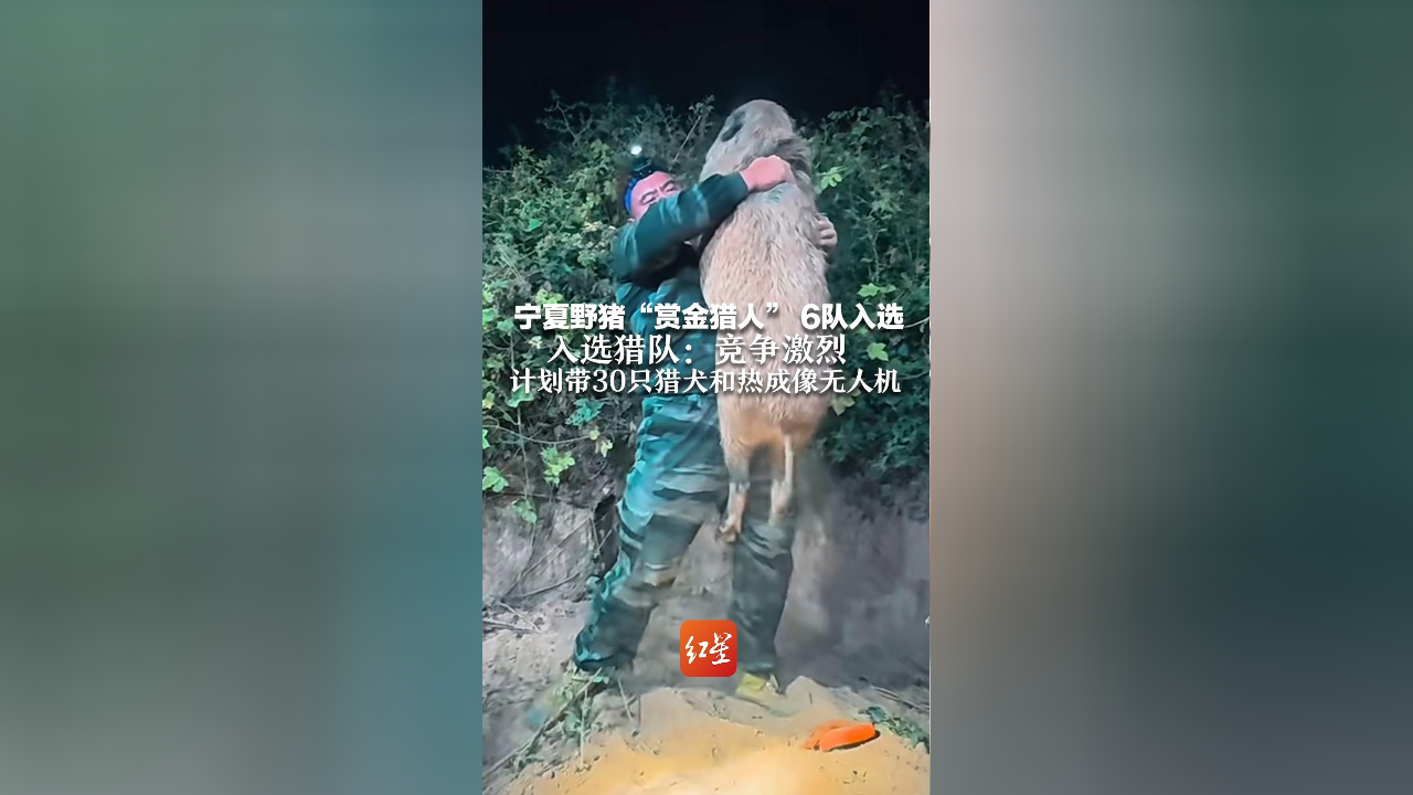 宁夏野猪"赏金猎人" 6队入选 入选猎队:竞争激烈 计划带30只猎犬和热