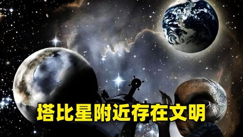 塔比星百科图片