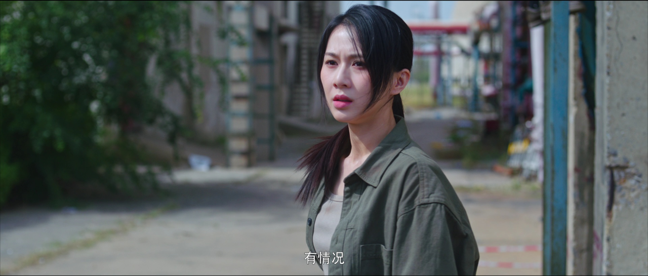 《我叫白小飞》第15集精彩看点