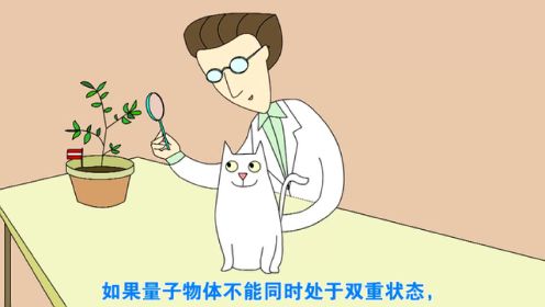 4分钟看懂什么是“薛定谔的猫” 中文字幕