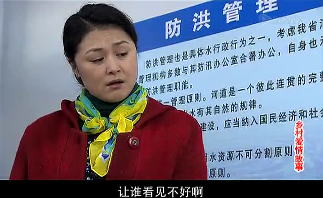 乡村爱情故事 27集