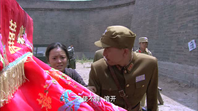 铁梨花 33集