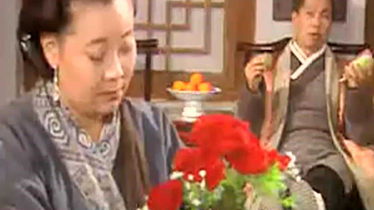 皇嫂田桂花 15集