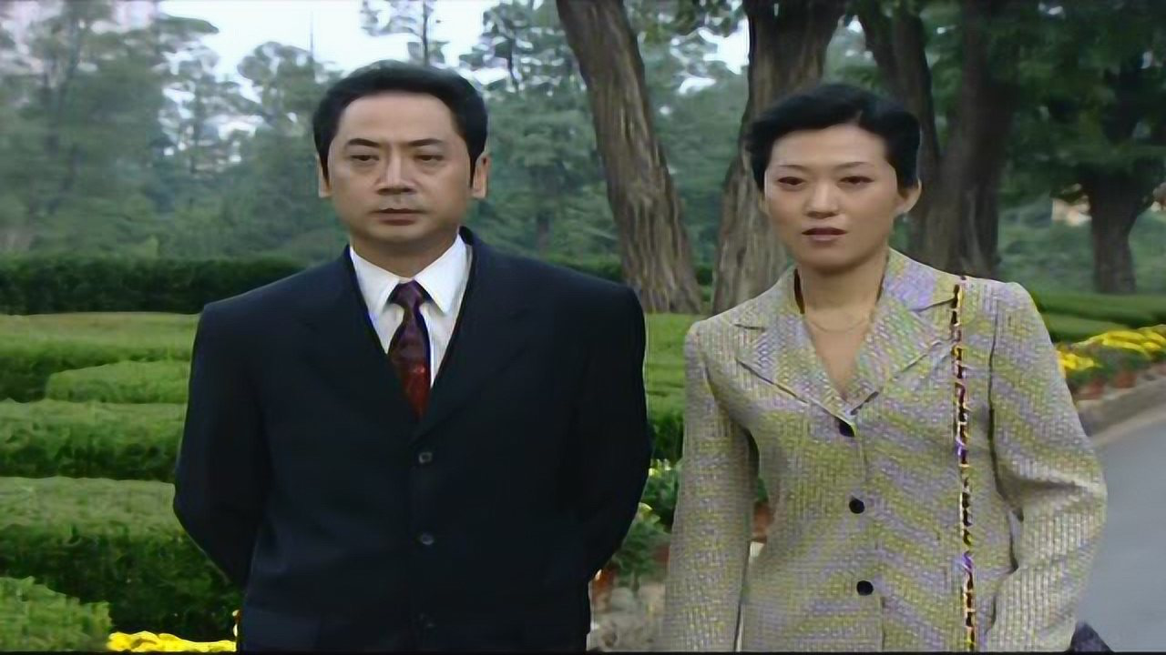 欲望的代价 6集