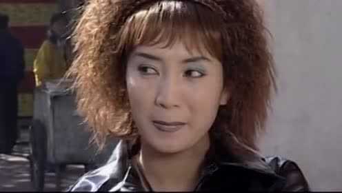 为了这一片净土 10集