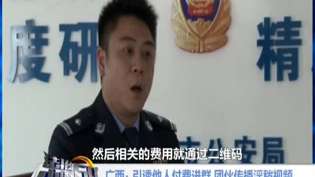 广西 引诱他人付费进群 团伙传播淫秽视频