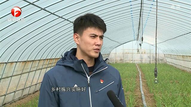 蒙城:产业引领 持续挖掘增收致富源头活水