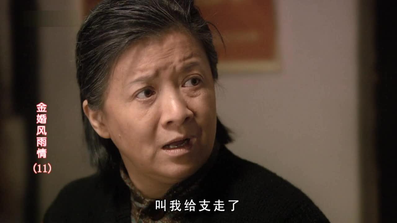 金婚风雨情 11集