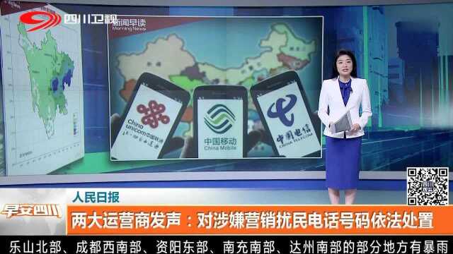 两大运营商发声:对涉嫌营销扰民电话号码依法处置