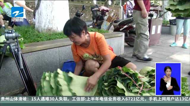 凌晨排队 半小时卖完! “西湖牌”荷叶莲蓬又来了