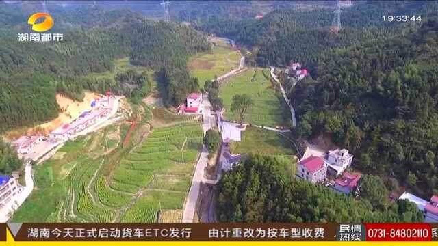 双牌桐子坳:中国银杏第一村 晋级国家4A级景区