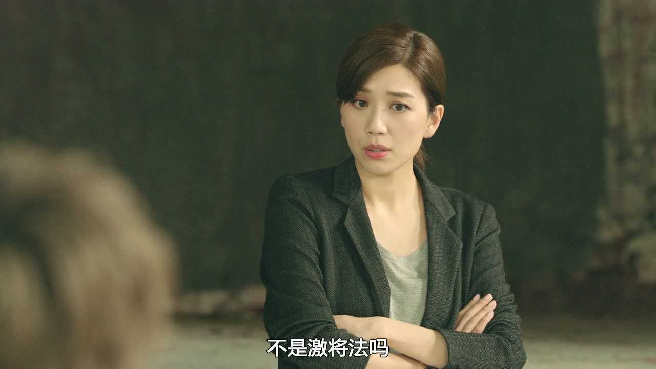 使徒行者3[普通话版] 10集