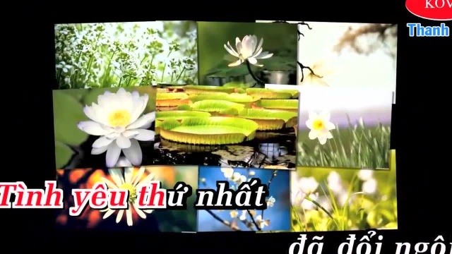 T㢭 Sự 䐡𛝩 T㴩