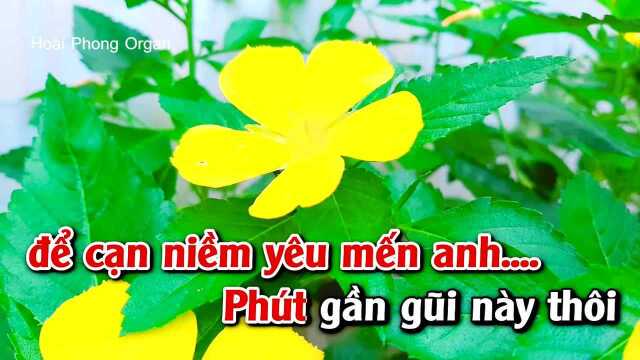 Khuya Nay Anh Rồi  Tone Nữ