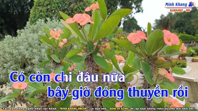 Y㪵 Một M㬮h  Tone Nam