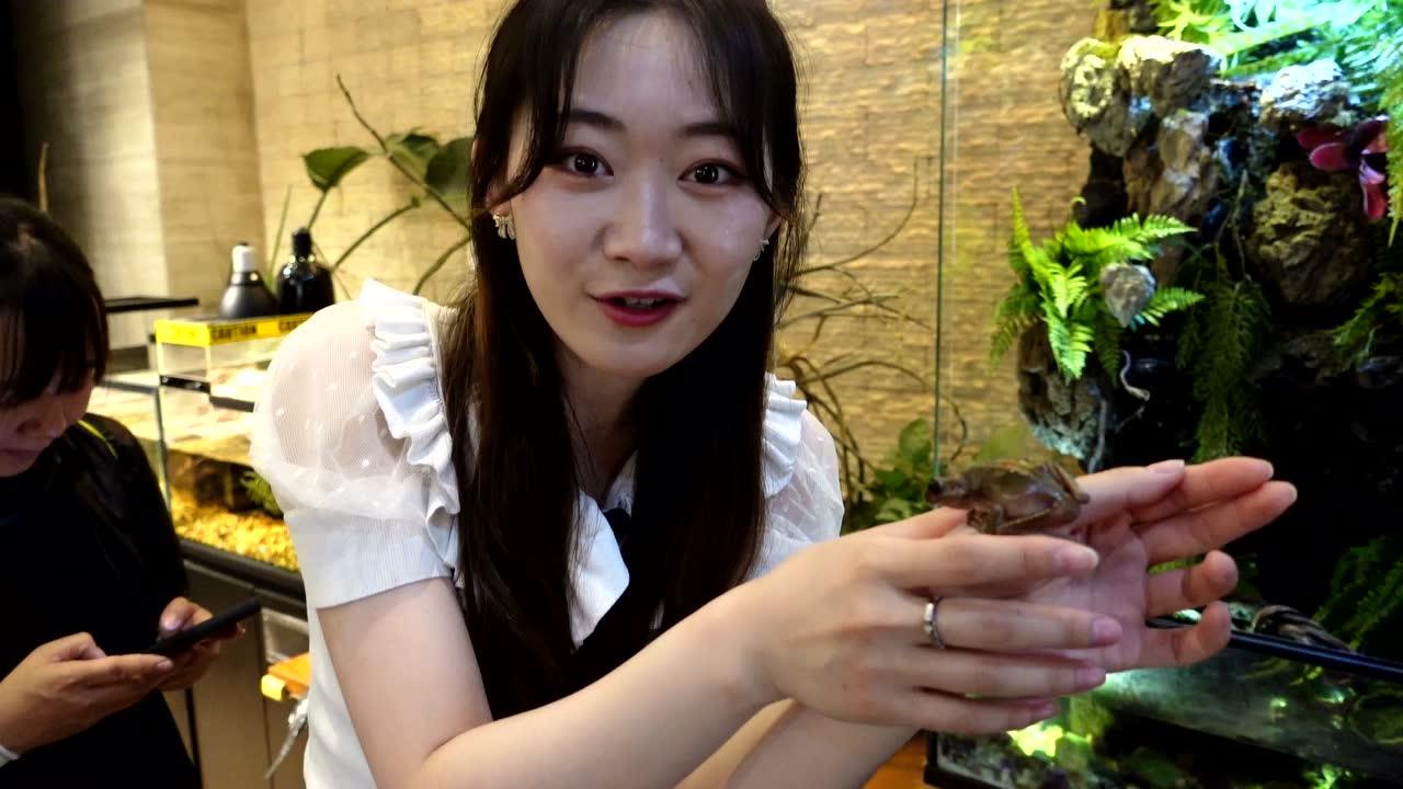 猫扎特魔法旅行团 28集
