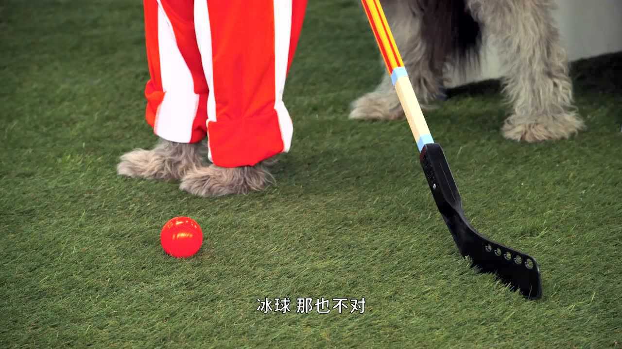 艾摩的世界[普通话版] 11集