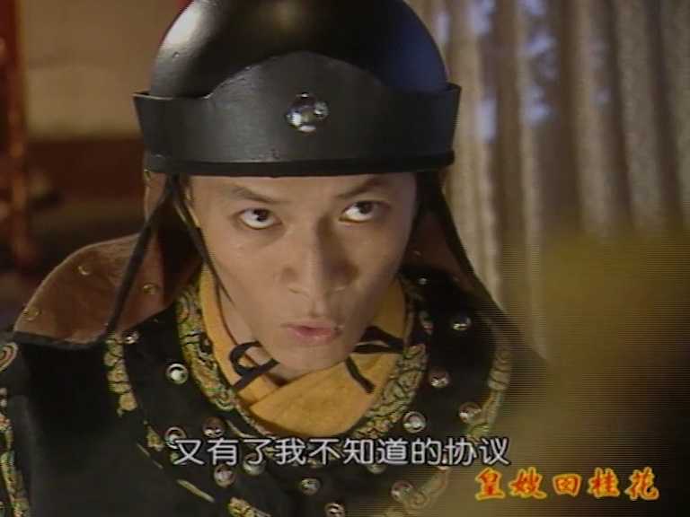 皇嫂田桂花2 8集