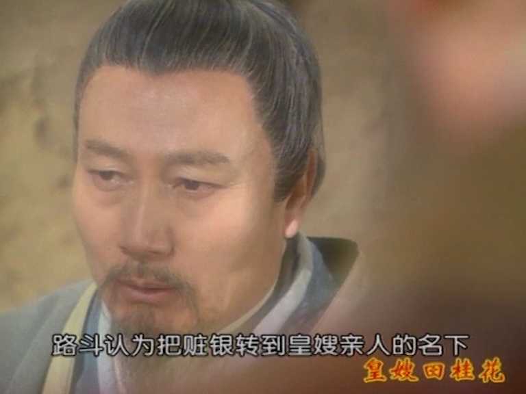 皇嫂田桂花2 29集