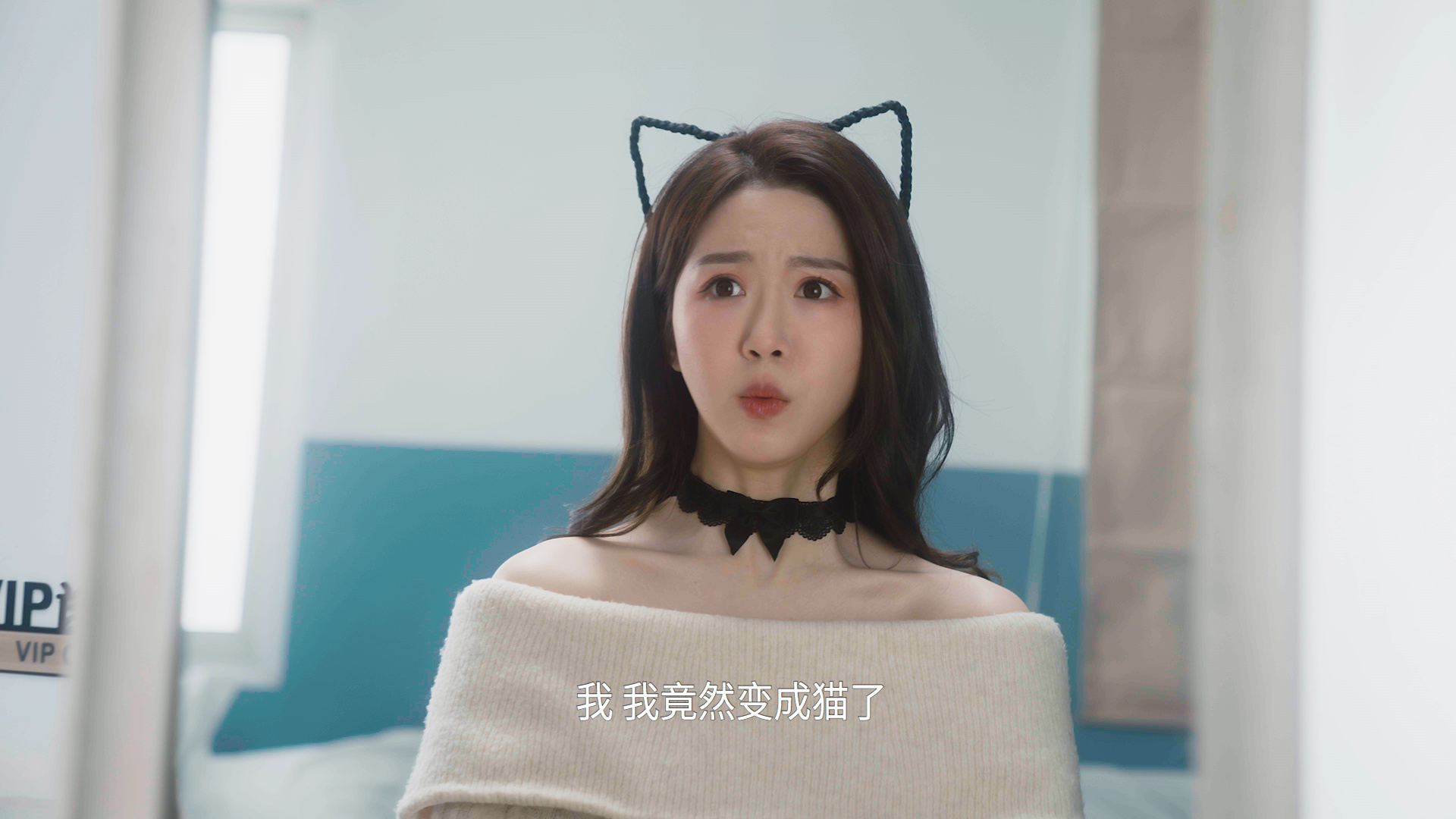 今天也要努力当只猫 2集