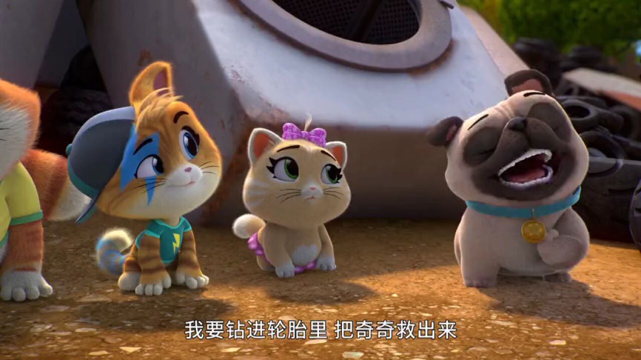 四喜猫第二季_高光片段