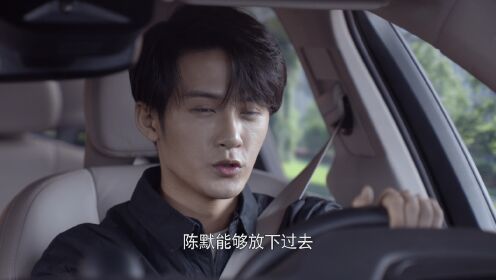 你安全吗? 17集预告_高清1080P在线观看平台_腾讯视频