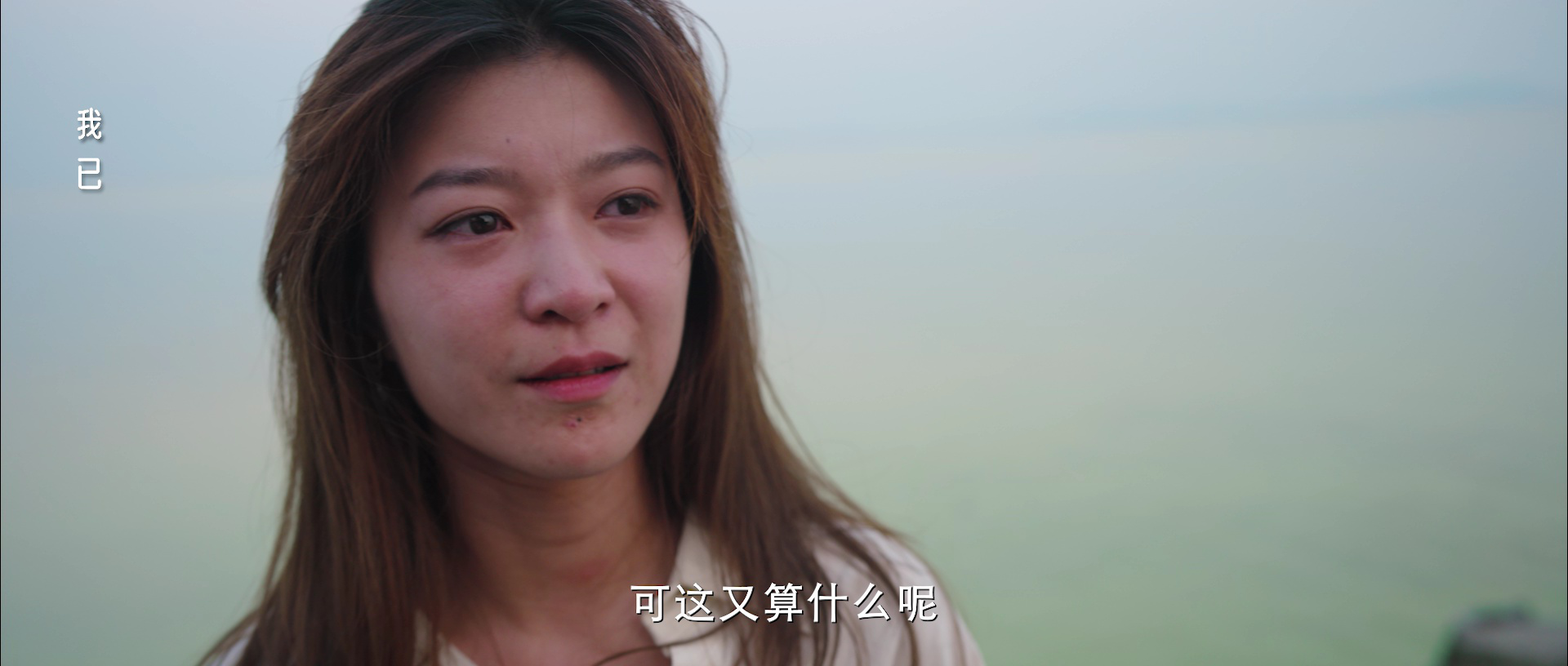 主妇的反击 24集