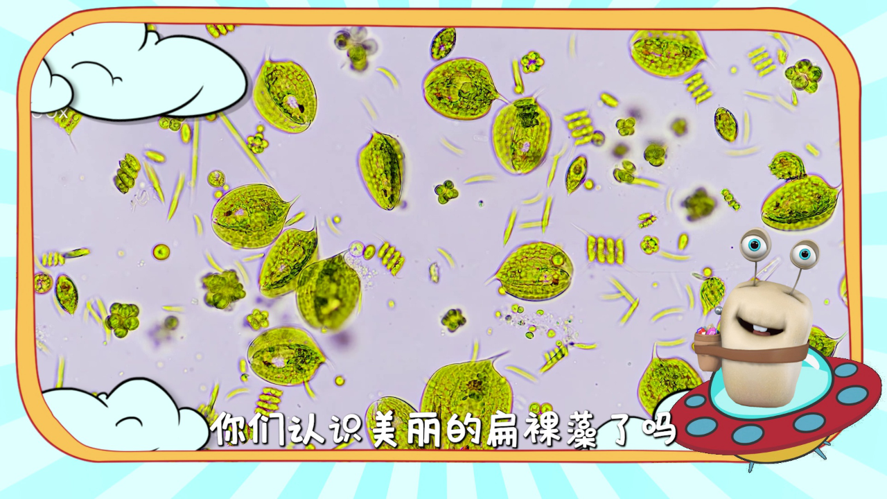 白白侠的微生物朋友 16集