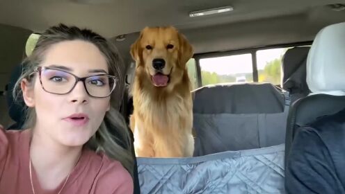 塔可狗狗去旅行_01_少儿_动画片大全_腾讯视频