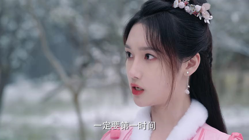 雪鹰领主 16集