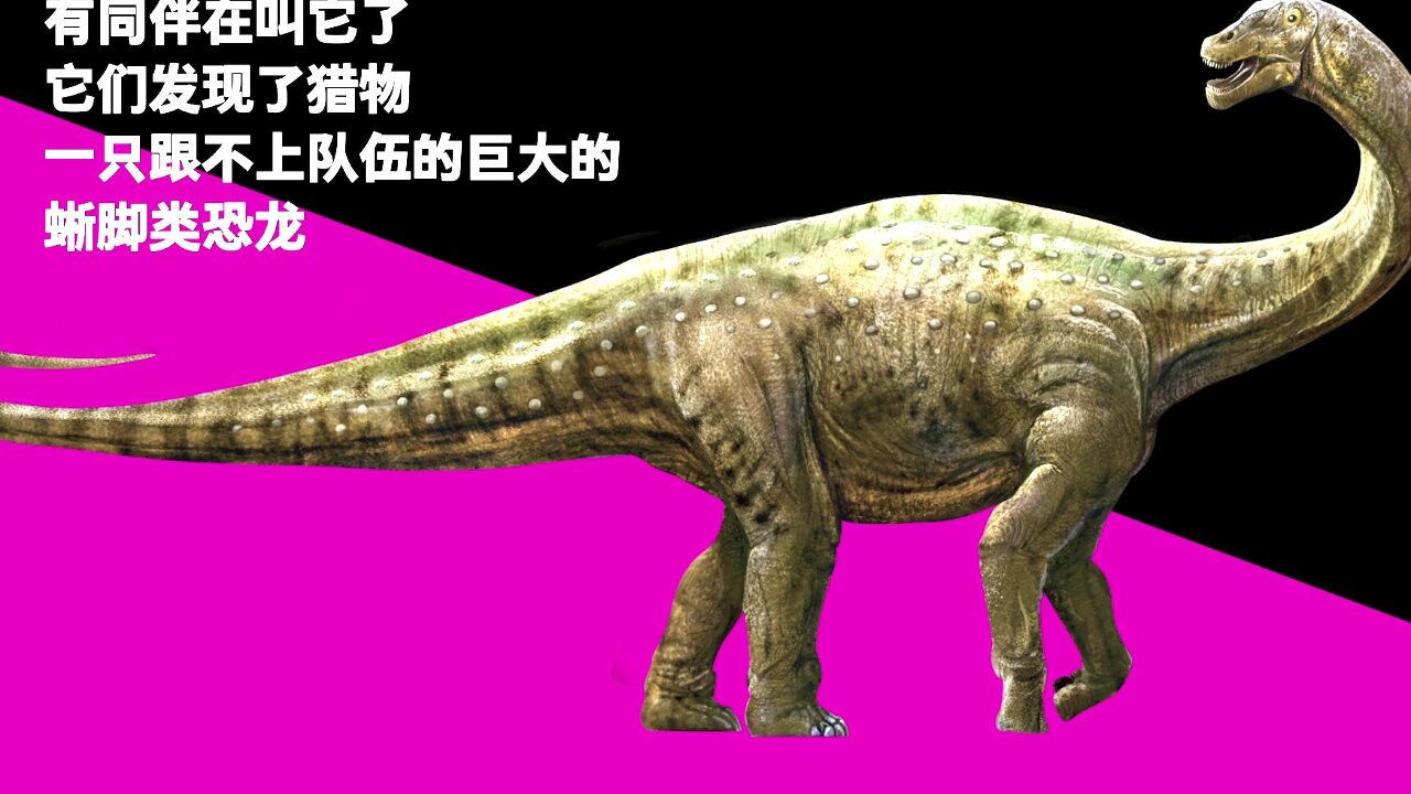pnso恐龙博物馆:中型肉食恐龙