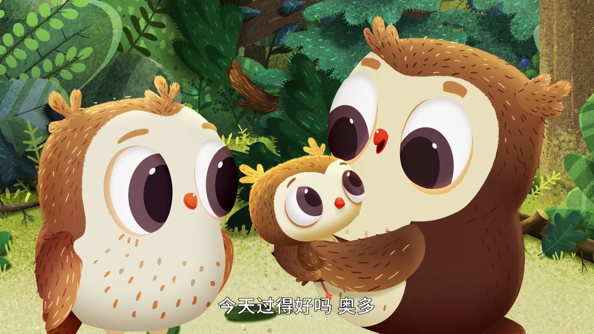 小猫头鹰奥多第一季 39集