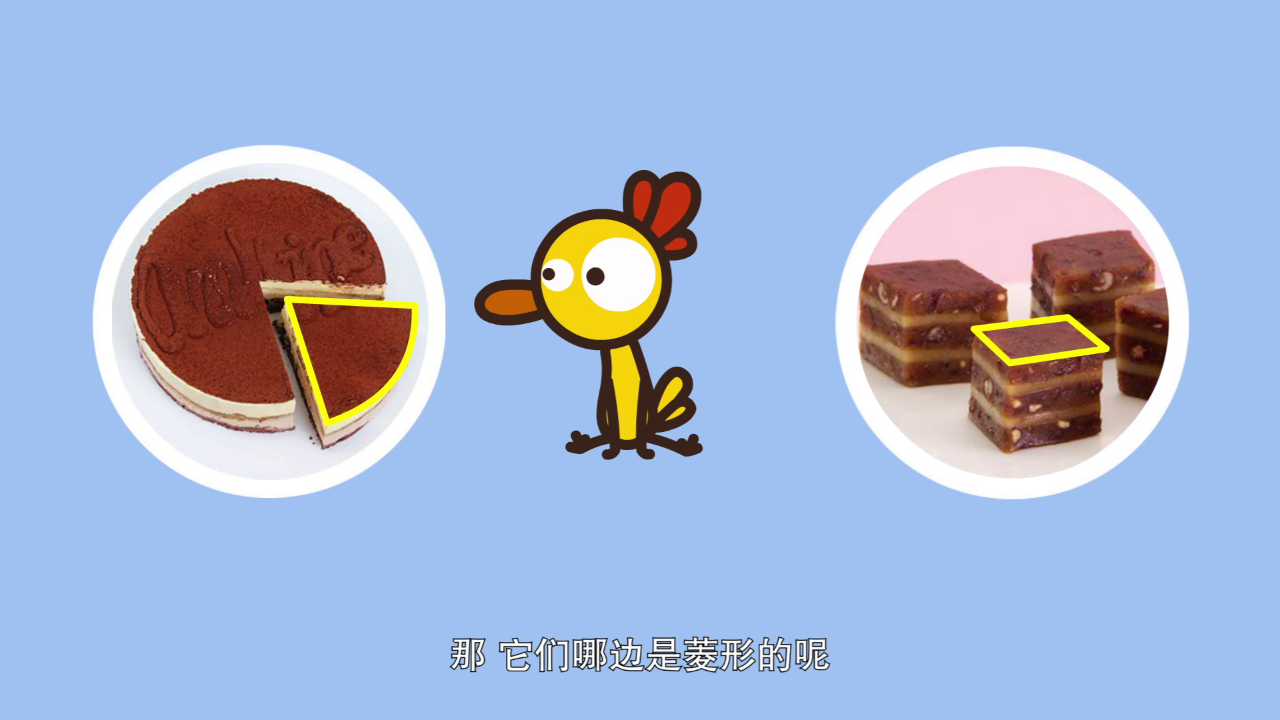 好奇时间第三季 20集