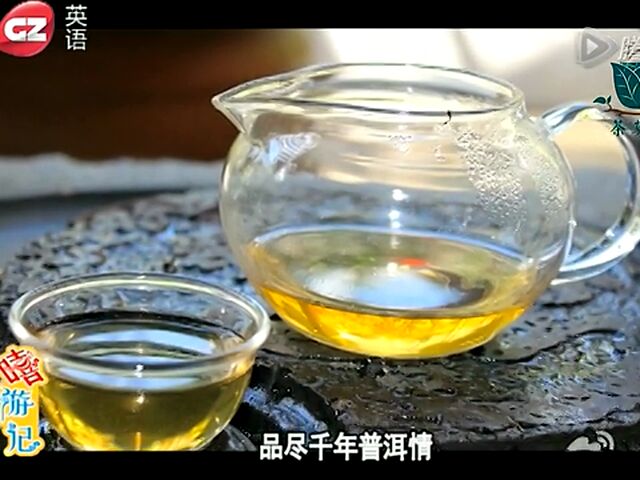 嘻遊記之茶莫停易武普洱茶的沖泡方法_騰訊視頻