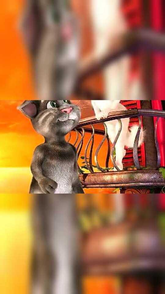 汤姆猫_腾讯视频