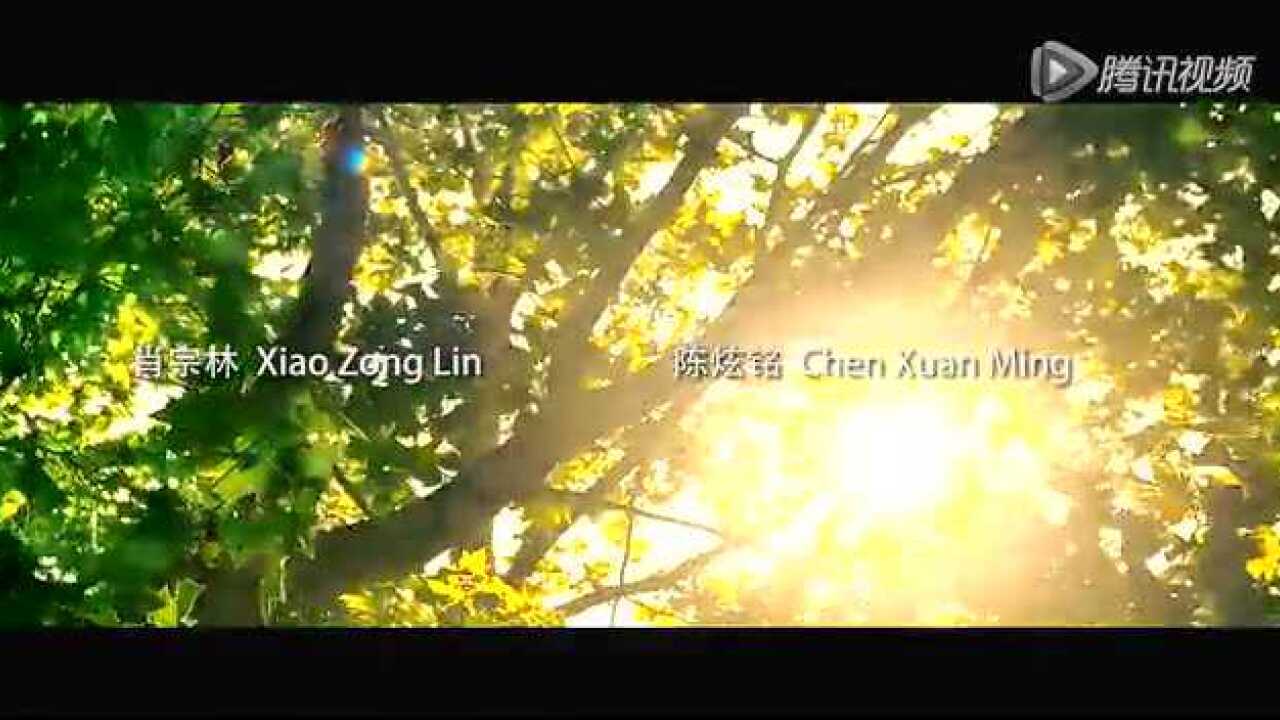 高清1080P在线观看平台_腾讯视频